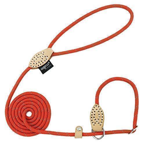Grand Line Reflective Rope Slip Training Lead, Mountain Climbing Rope Pets Leash for Small, Medium, Large and Extra Heavy Dogs and Cats - 5 Ft Long