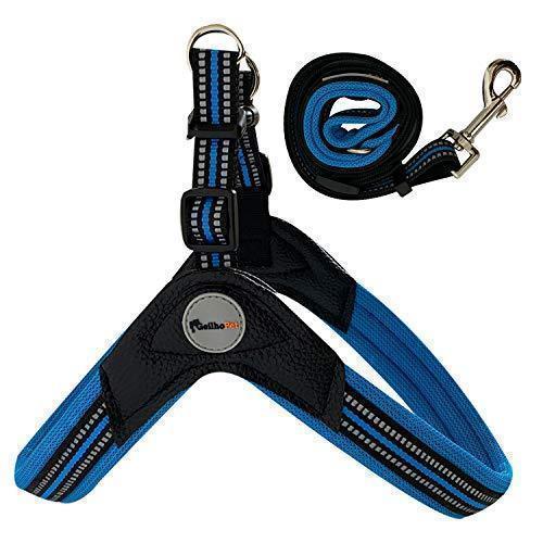 GEILHOPET No Pull Dog Harness and Leash, Waterproof, Chew/Escape Proof Male/Female Dogs, No-Slip, Durable and Adjustable, Breathable, Military/Service/Pet Dog, (Small, Blue)